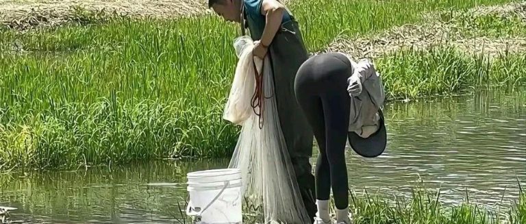 深秋野钓大鱼法：远钓深、近钓浅，神奇之处究竟在哪？