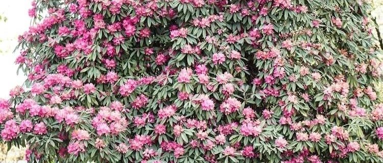 短节竿选购指南：轻硬28调溪流竿与鲫鱼竿的实用解析
