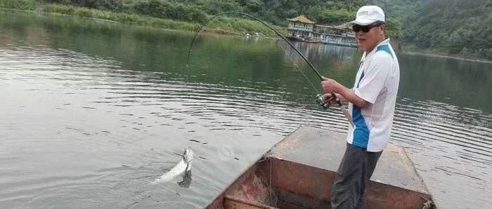 【钓点分享】湖北十堰周边10大垂钓最佳地点盘点