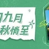 钓鱼鱼情分析重要