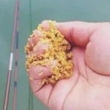 三分钓技七分饵，这些才是钓鱼的好饵料，配方公开大家一起用！
