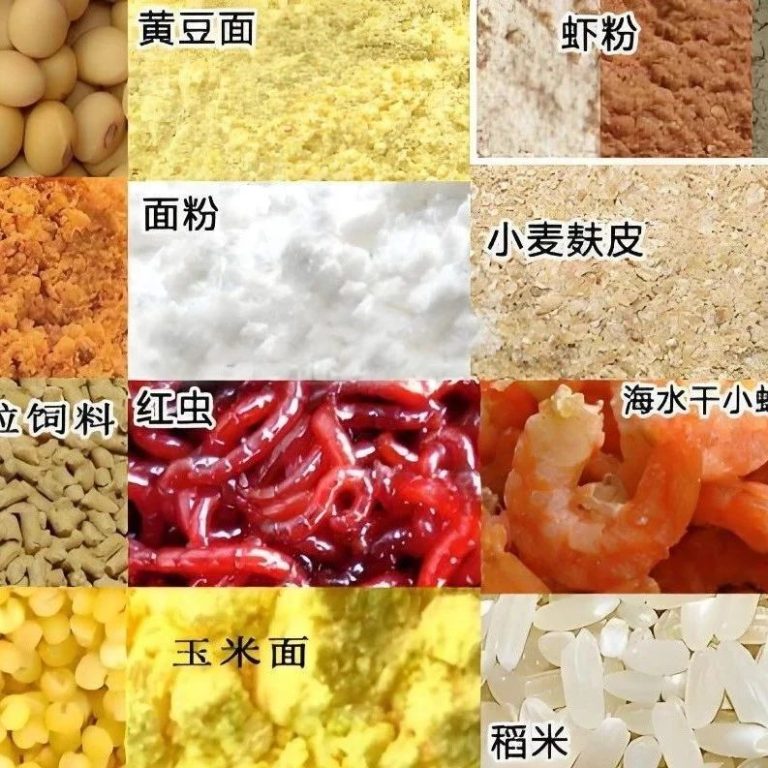 钓鲤鱼绝密饵料大公开！8 款配方让你秒变 “水库杀手”，拿到哪里就能征服哪里的鲤鱼！