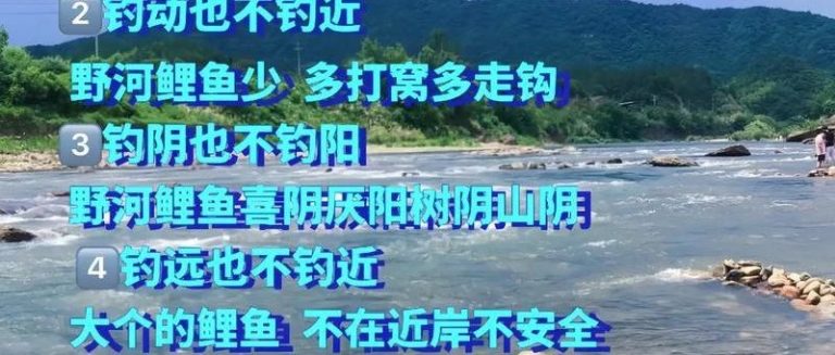 水库钓鲤鱼最佳时间曝光，90%的人都选错了！