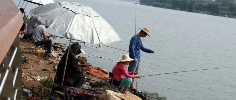 春季野钓必看！根据水温选钓法，鲤鱼双绝招钓满季