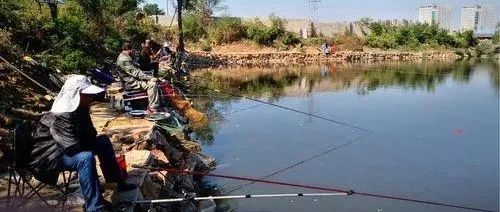 手竿钓白条进阶技巧：破解2个追氧规律，连竿频率稳步提升