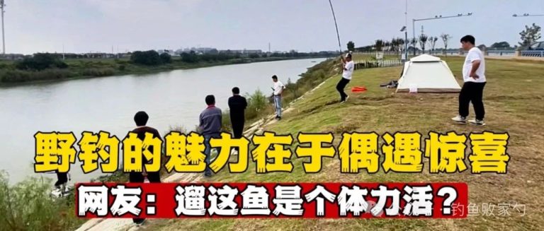 野钓VS竞技钓：一场关乎灵魂的较量，谁才是钓鱼界真正的“王者”?