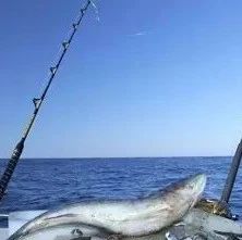 【干货分享】船钓技巧及相关注意事项