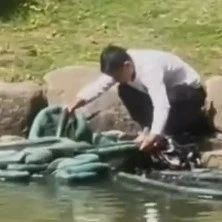 钓鱼佬大腿都拍肿！8斤重大甲鱼钓上岸，取钩时“光速”逃跑，网友：原来乌龟真的比兔子跑得快