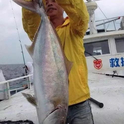 【海钓技巧】深海沉船海钓技巧 钓鱼大师的必备技巧