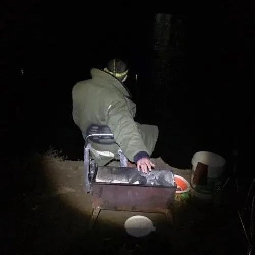 夜钓新手必看！3个简单技巧，黑漂不断连竿到天亮