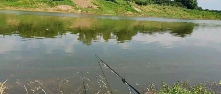 隔壁看我狂拉鱼，急得直跺脚！这四个野钓秘诀太狠了